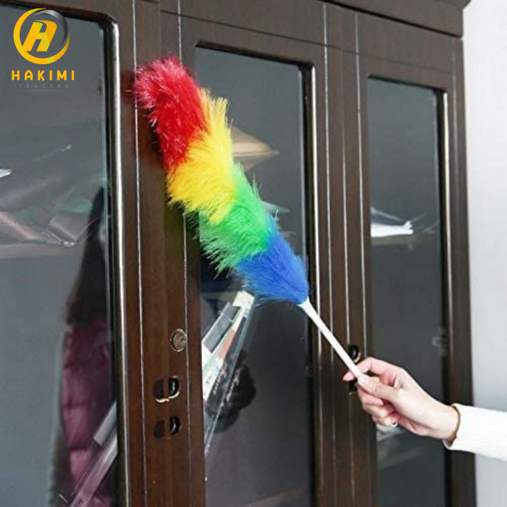 Colourful Extendable Rod Duster
